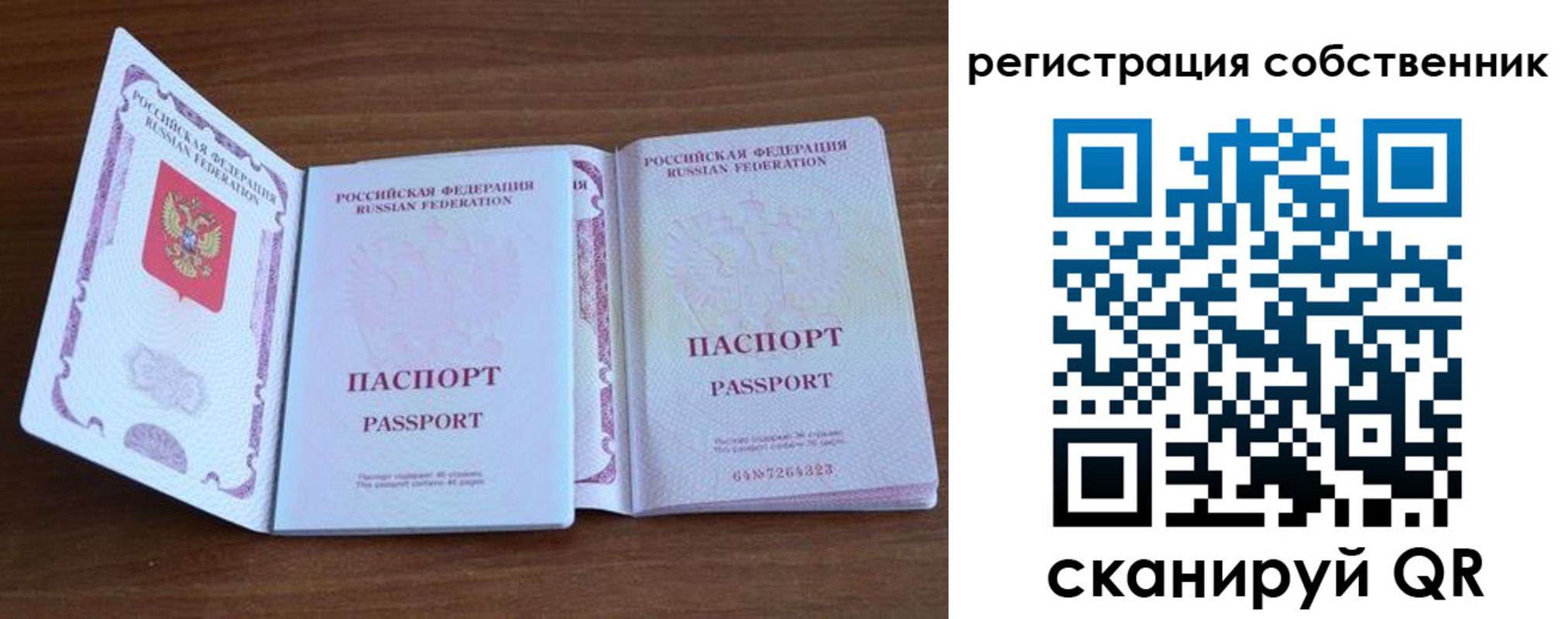 где прописаться в Ленинградской области